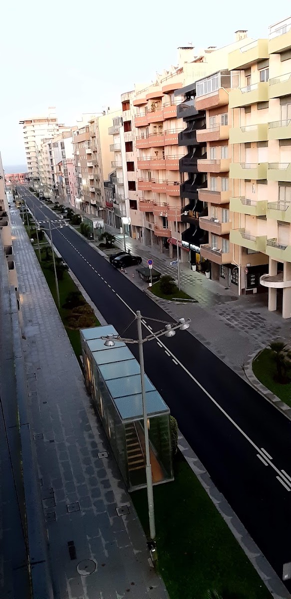 Construções Monte Carlos foto 2