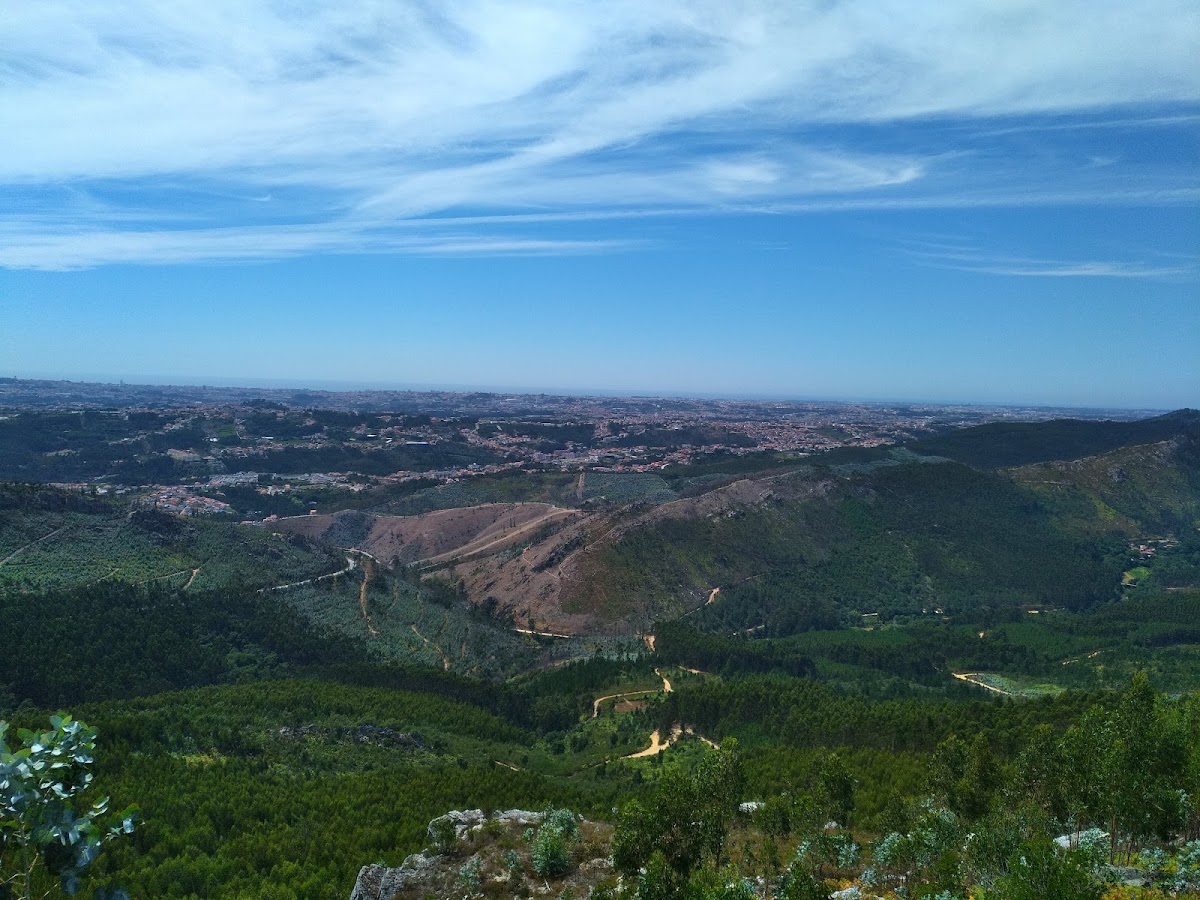 Gondavac, Unipessoal Lda foto 3