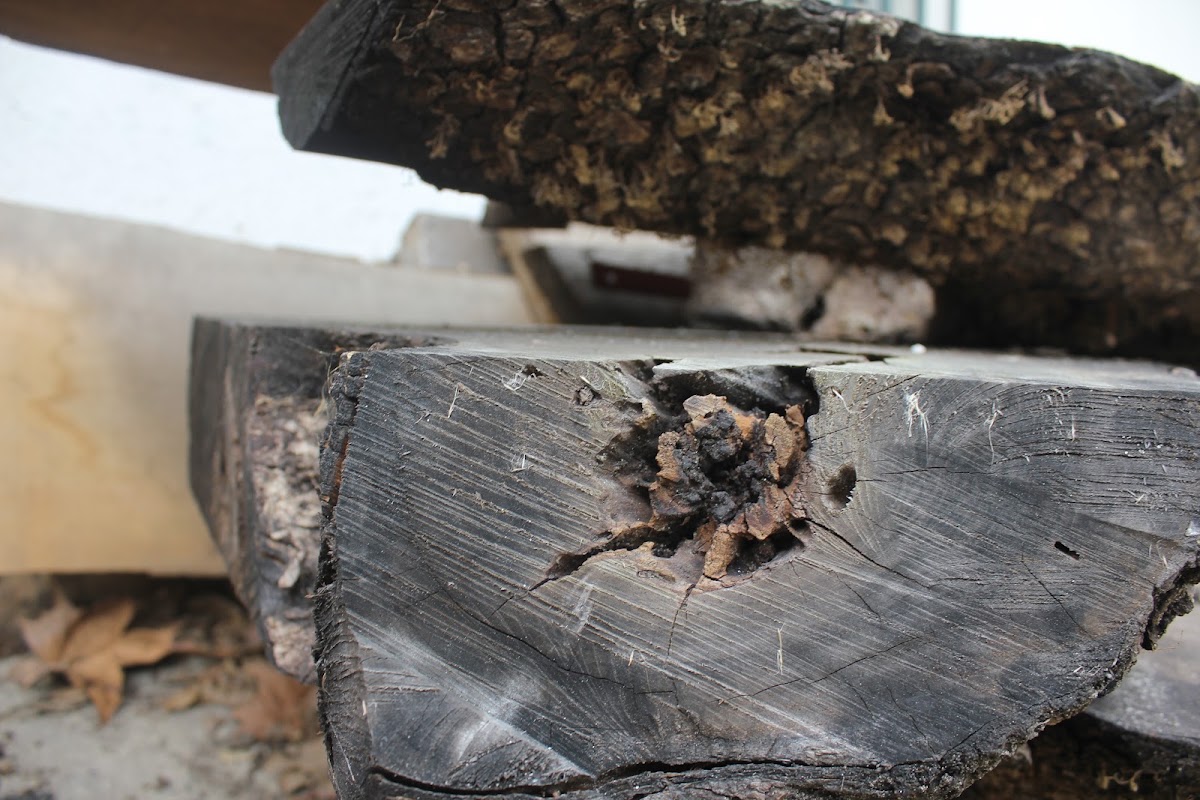 Woodproject foto 2