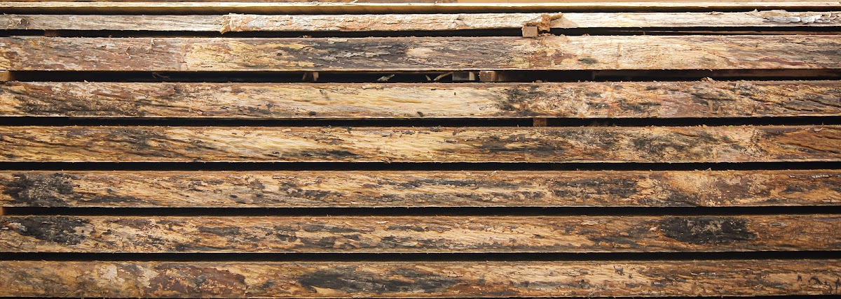 Woodproject foto 4