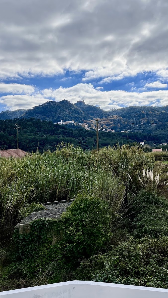 Marmovárzea - Mármores E Granitos, Lda foto 5