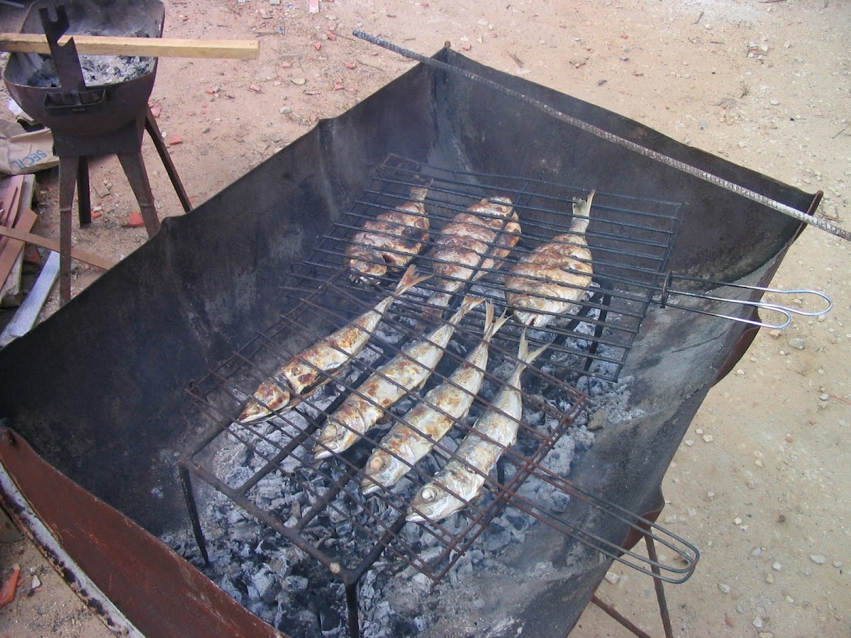 AVFpinta&repinta