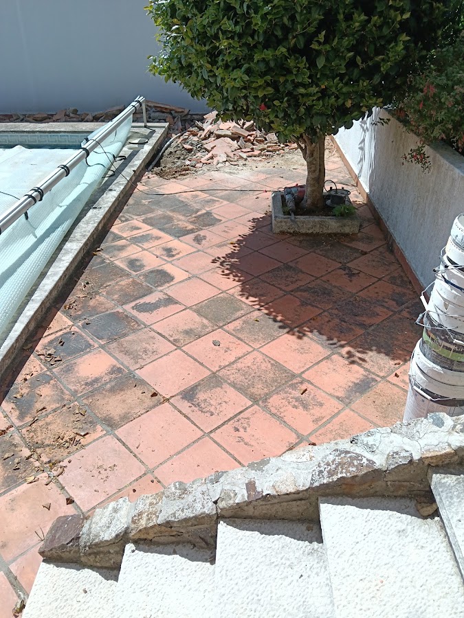Frondoso conceito unipessoal lda foto 7