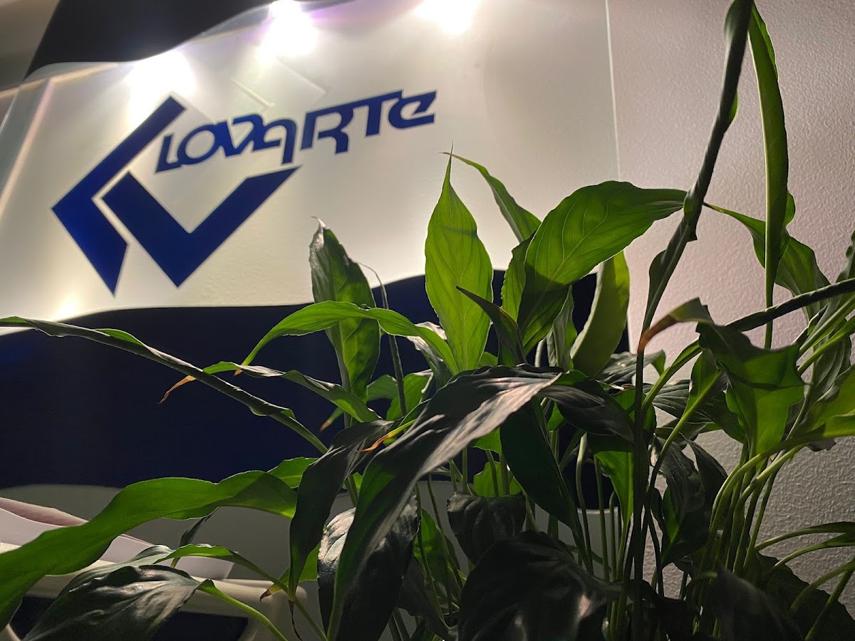Lovarte - Comércio e Industria de Construção, LDA. foto 4