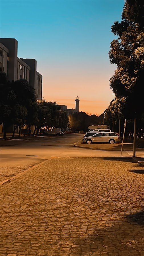 Ergohab-sociedade De Construções Lda foto 2