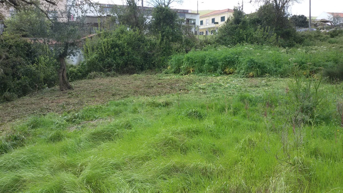 Caixiribas, Lda. foto 2