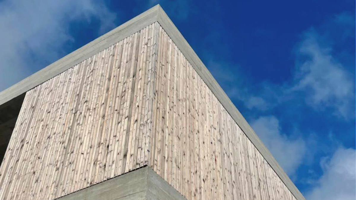 Eco Vista Carpentry foto 10
