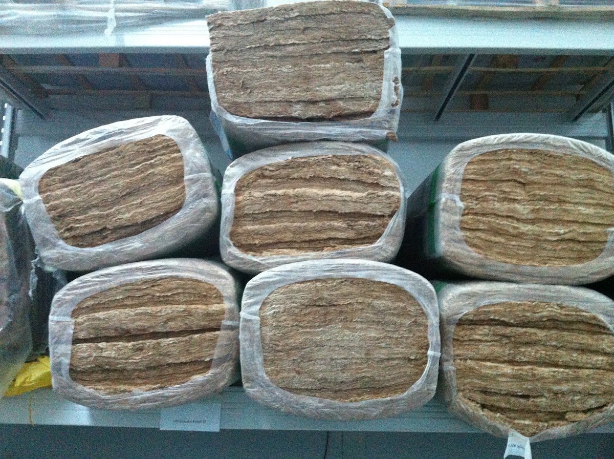 Irmãos Gigante, Lda. foto 10