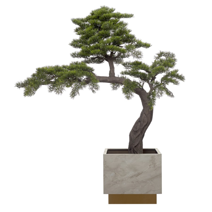 ARBOR PLANTS - Home & Garden foto 5