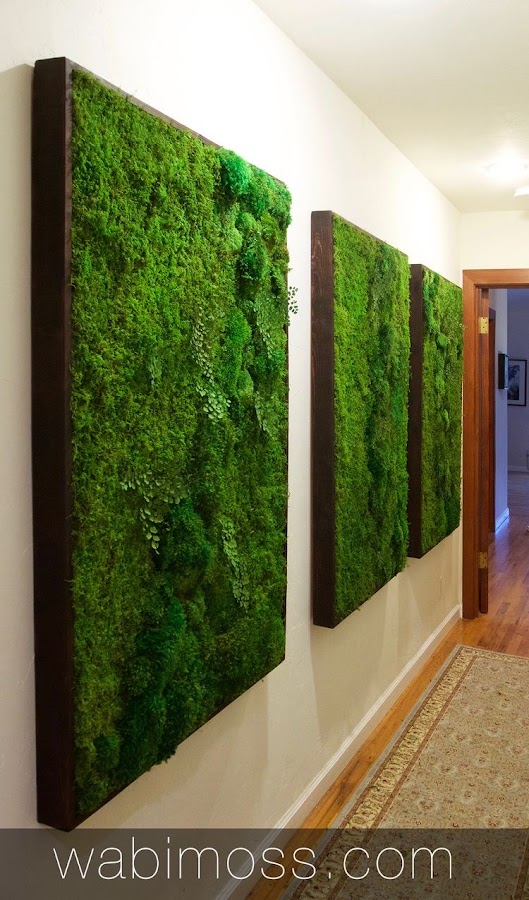 ARBOR PLANTS - Home & Garden foto 7