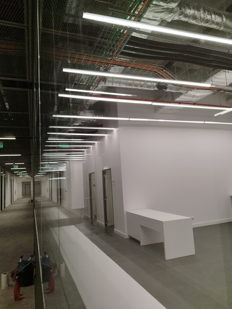 Wallrise - Plaster Solutions, Lda