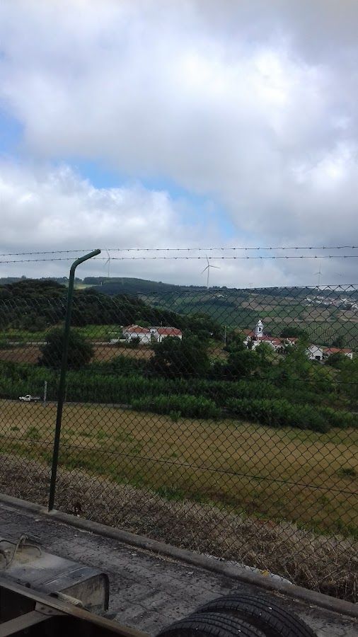 Canovedras Lda foto 5