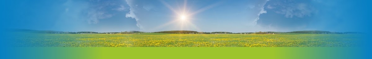 Infinite Green, Lda