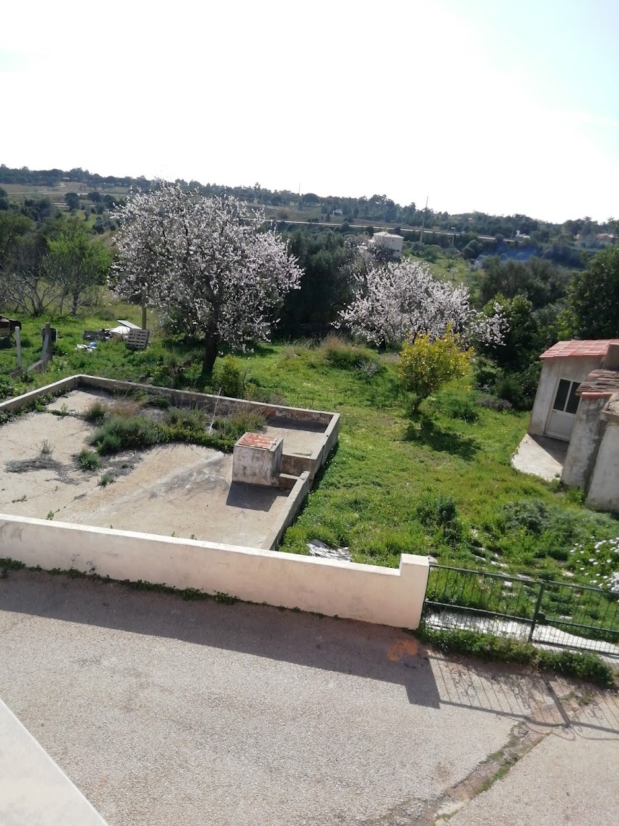 Jpi - Estuques, Lda. foto 6