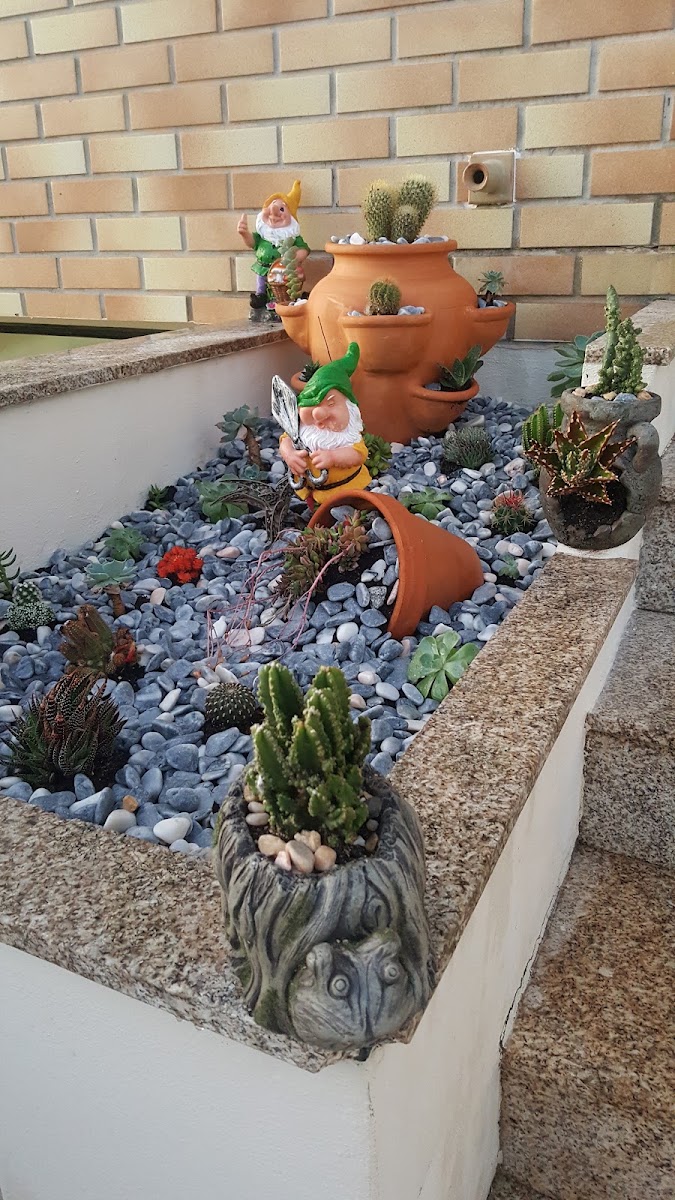 Ricardo Azevedo - Assistência ao Lar foto 7
