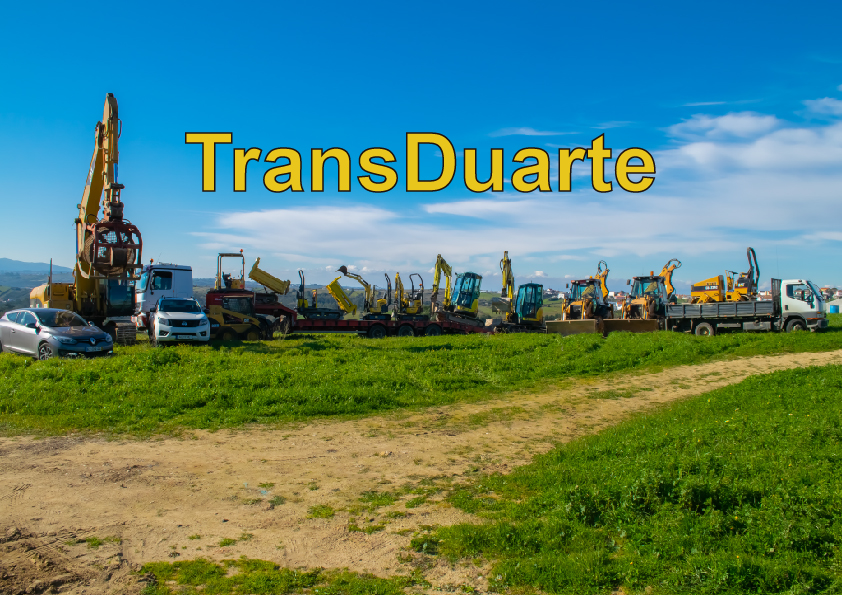 Transduarte - Transporte De Mercadorias, Lda. foto 4