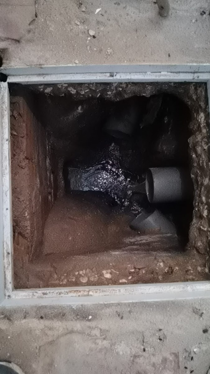 Top Canalizador foto 4
