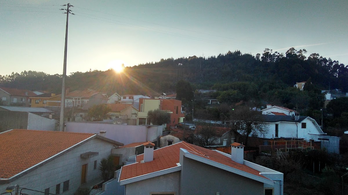 Tomagol Lda foto 6
