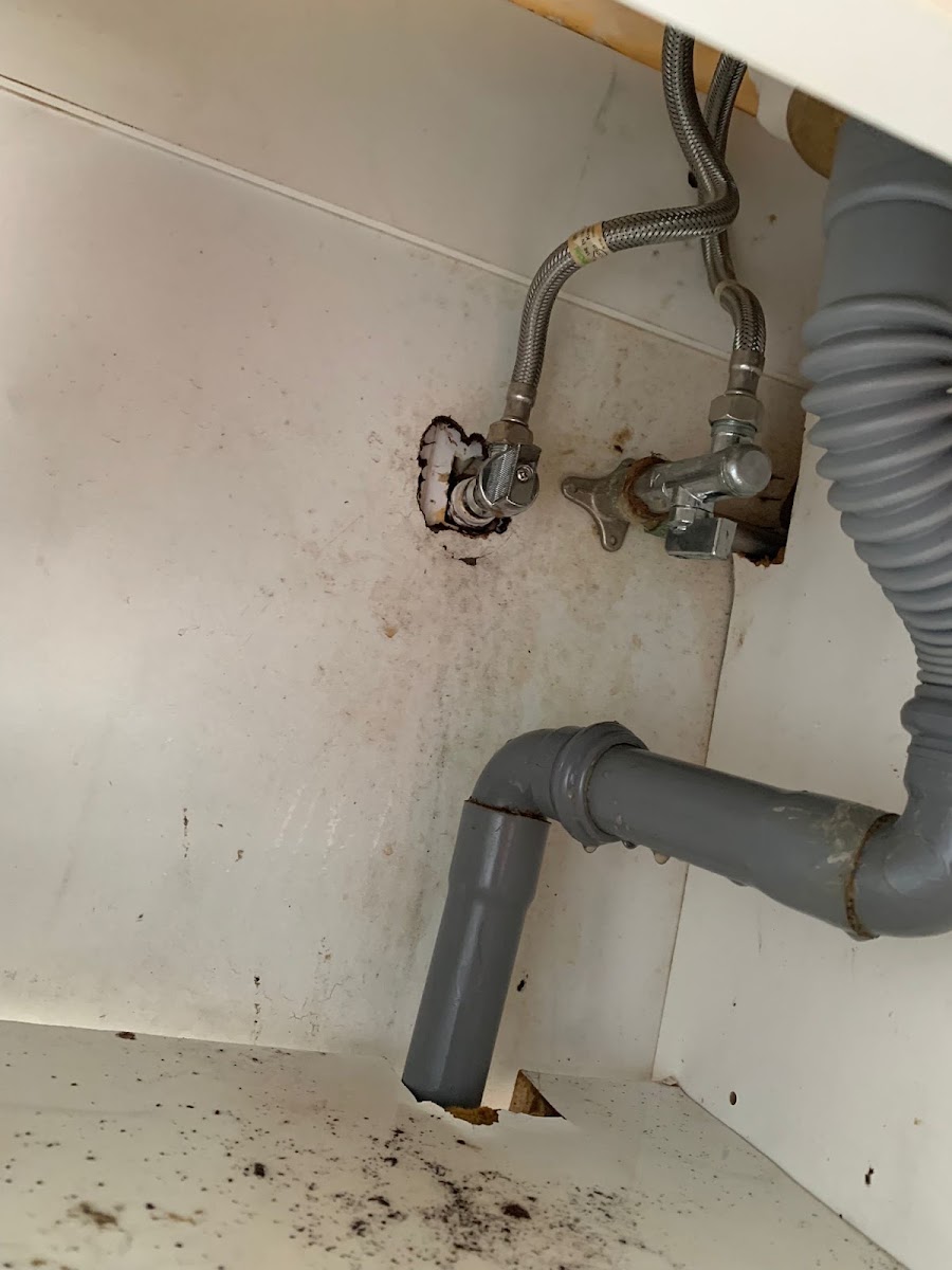 Expert Canalizações - Desentupimentos, fugas de água e outros reparos. foto 9